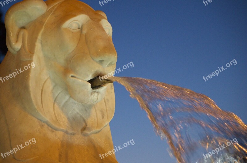 Fontana Piazza Del Popolo Rome Italy Lion