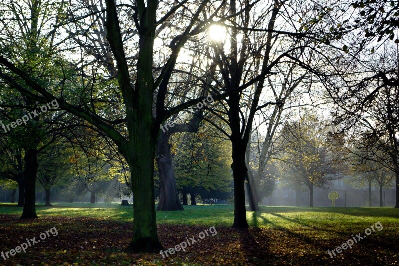 Park London Kensington Gardens Green Nature