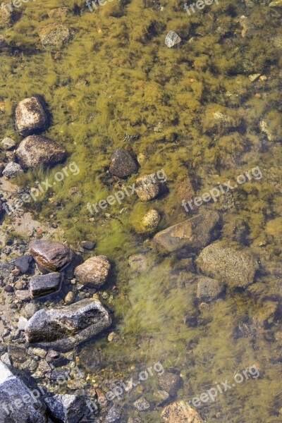 Seagrass Stones Archipelago Sea Summer