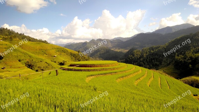 Terraces Rice Field Terrace Travel Tuorism