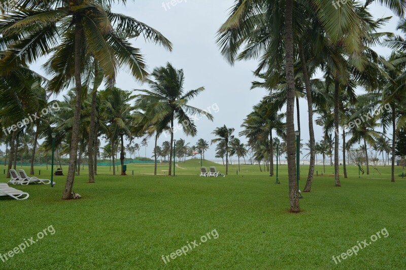 Golf Course Beach Nature Outdoor Golf