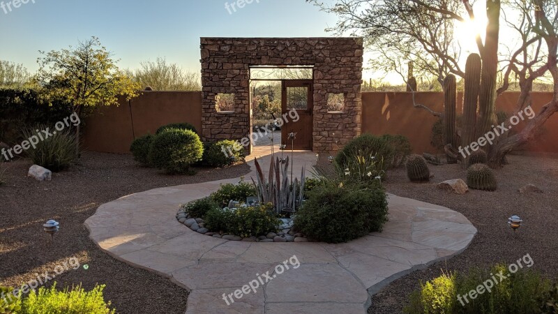 Arizona Cactus Southwest Usa Landscape