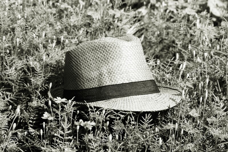 Straw Hat Summer Meadow Black And White Photography Hamburgensien Walk In The Park