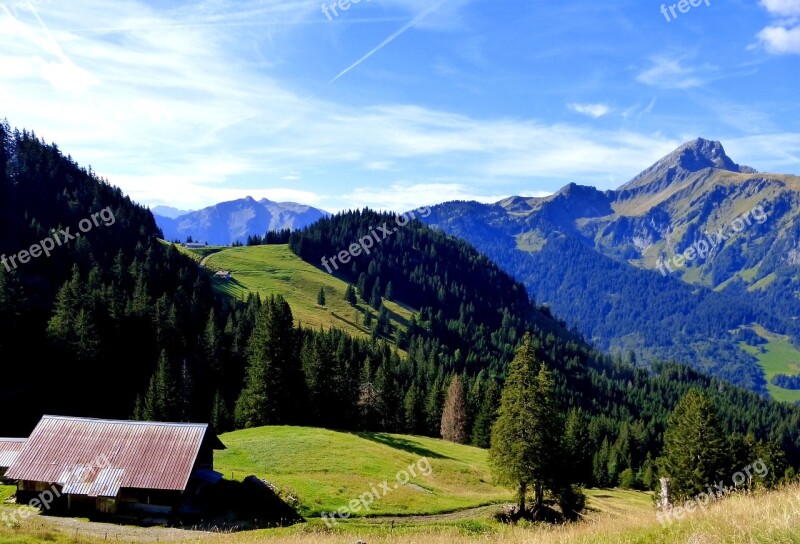 Nature Farm Alpine Rural Summer