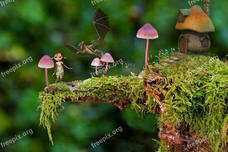 Micro Mushroom Free Fungi Fantasy