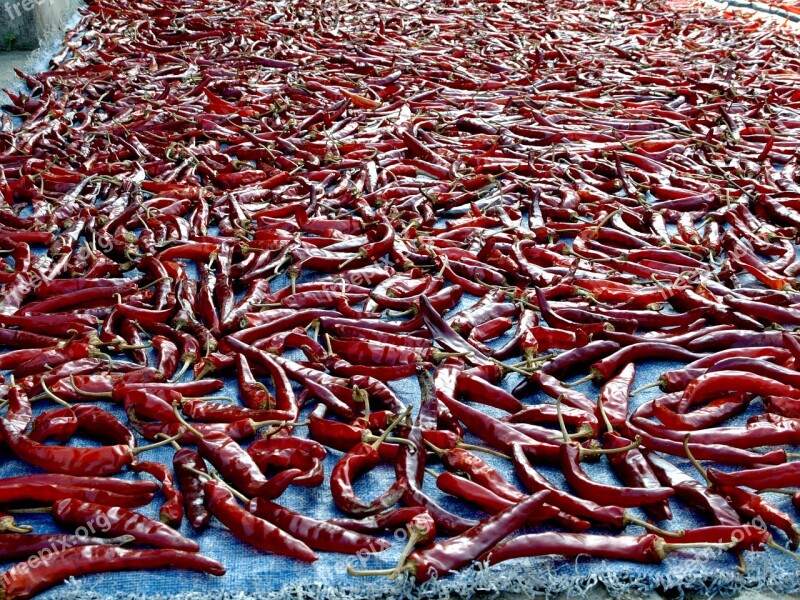 Pepper Chilli Powder Making Red Food Spicy