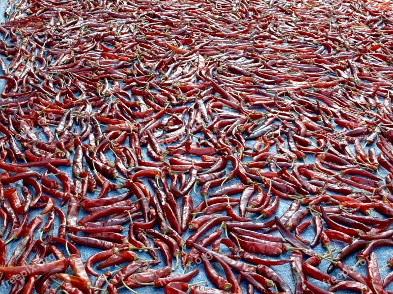 Pepper Chilli Powder Making Red Food Spicy