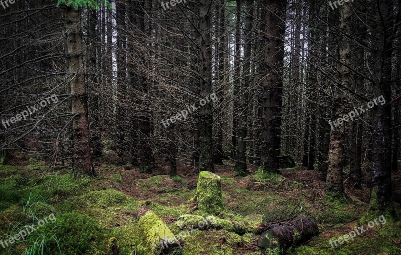 Scotland Hiking Landscape Mountain Highlands