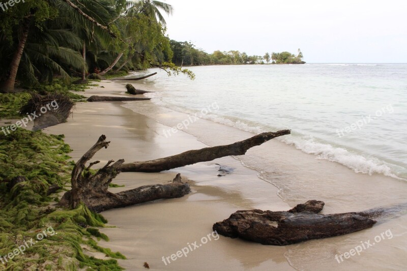 Paradise Beach Palm Trees South Sea Ocean