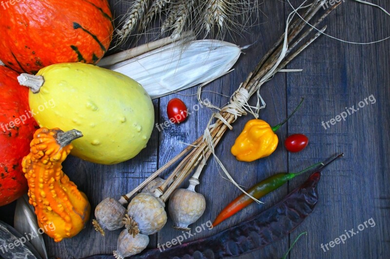 Autumn Still Life Green Pumpkin Decorative Pumpkins Paradise Way Pumpkin