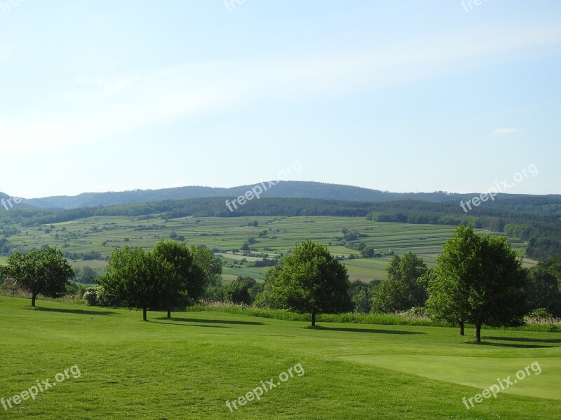 Golf Course Forest Wine Nature Trees