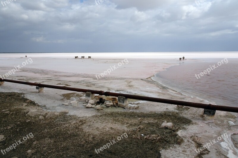 Great Rann White Rann Desert Hot Kutch