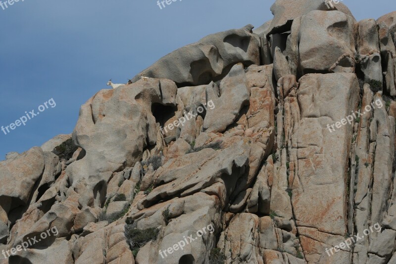 Rock Goats Nature Landscape Mountain