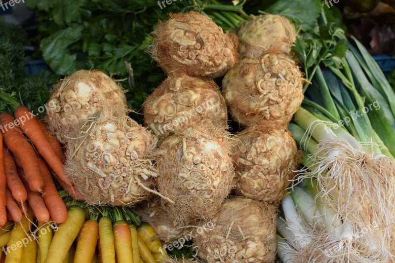 Celeriac Nodule Vegetables Free Photos