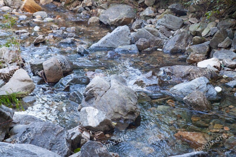 The Creek Streams Valley Nature Creek