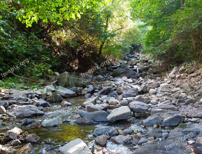 The Creek Streams Valley Nature Creek