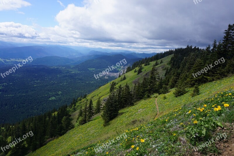 Dog Mountain Nature Columbia Gorge Free Photos