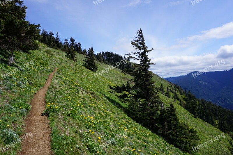 Path Hiking Trail Mountain Side Free Photos