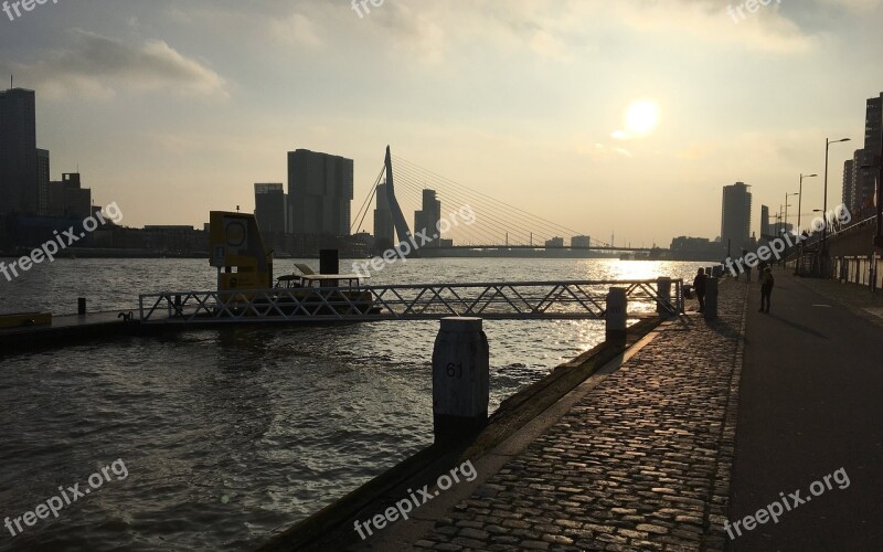 Rotterdam Erasmus Bridge Low Sun Free Photos