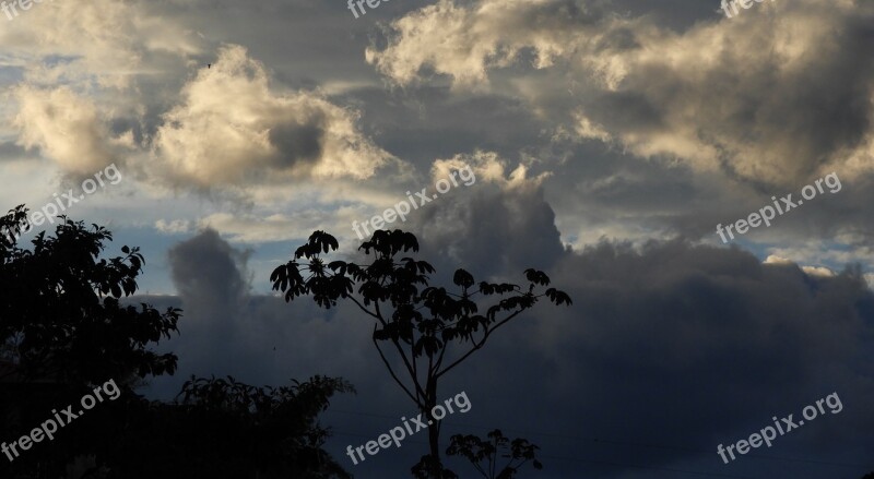 Landscape Nature Clouds Tree Guatica