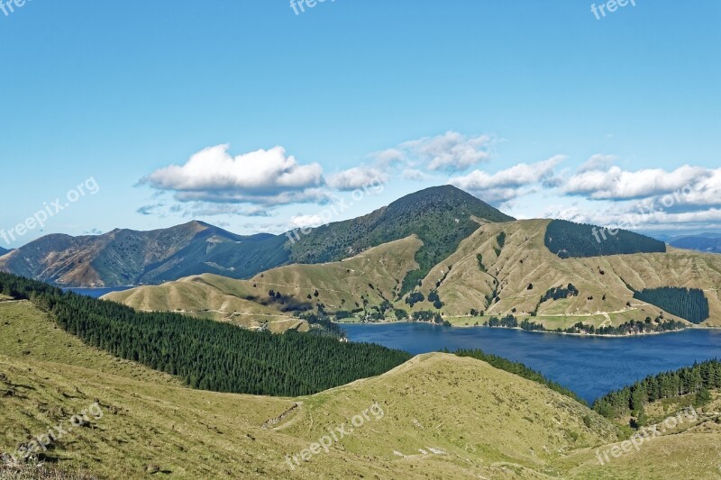 New Zealand Fitzroy Bay Bay South Island Mountains