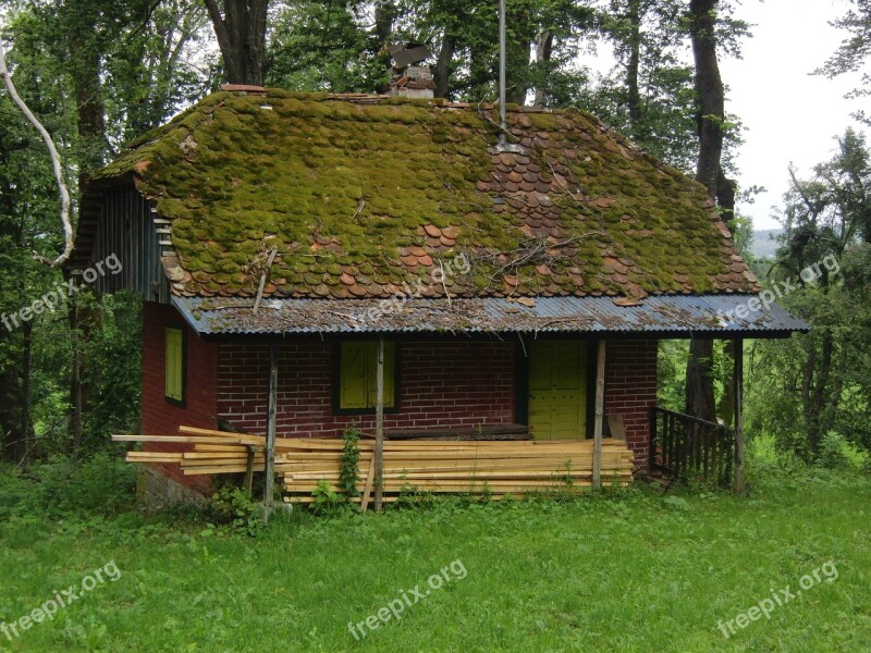 Forest House Nature Tree Home