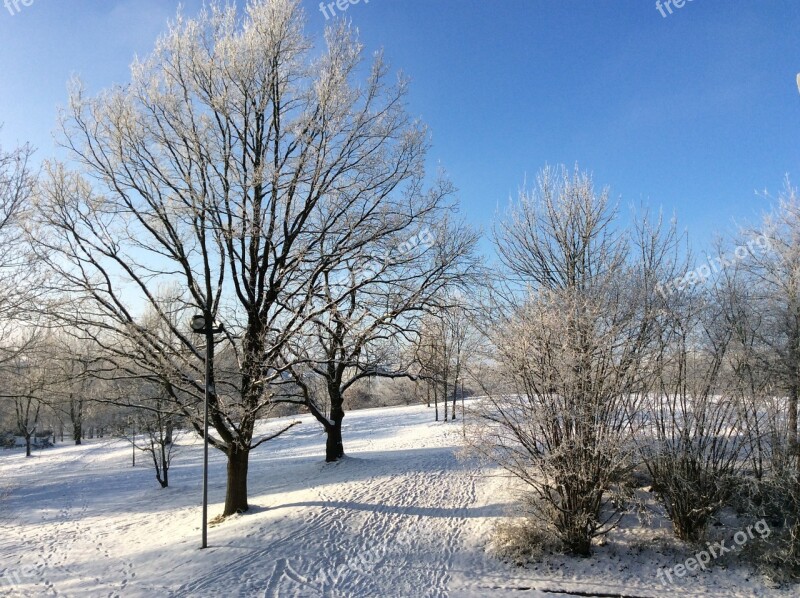 Kurpark Bad Münder Deister Winter Free Photos