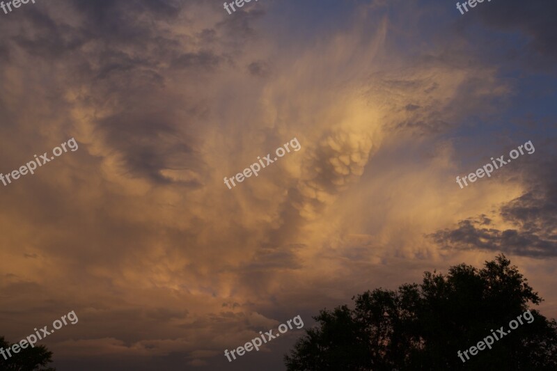 Evening Cloud Tree Sunset Nature