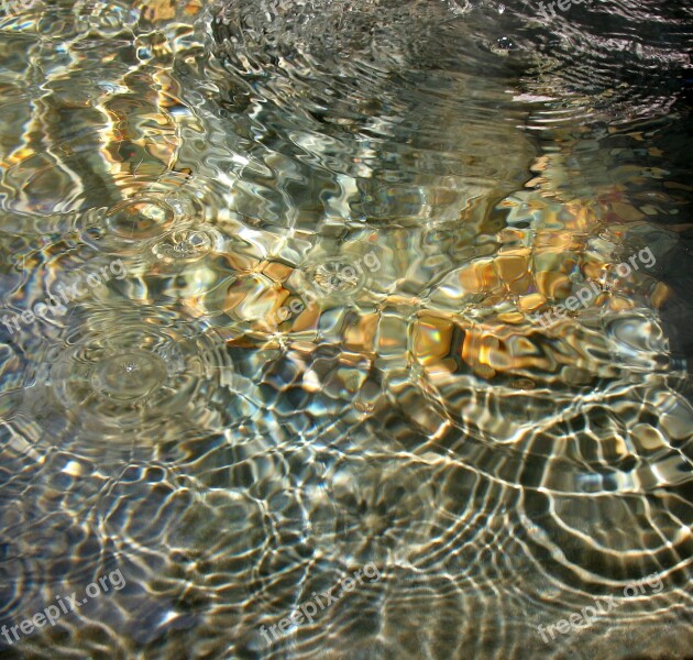 Water Fountain Water Circles Coins Free Photos