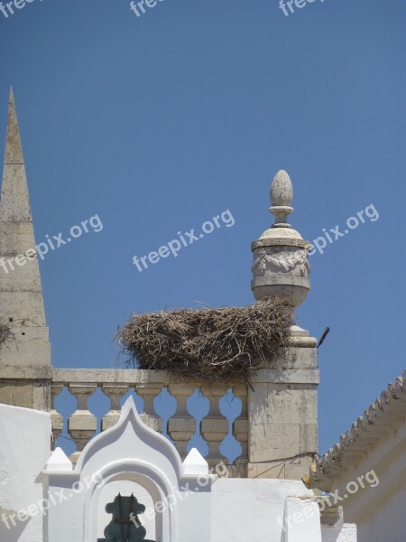 Nest Stork Portugal Bird Free Photos