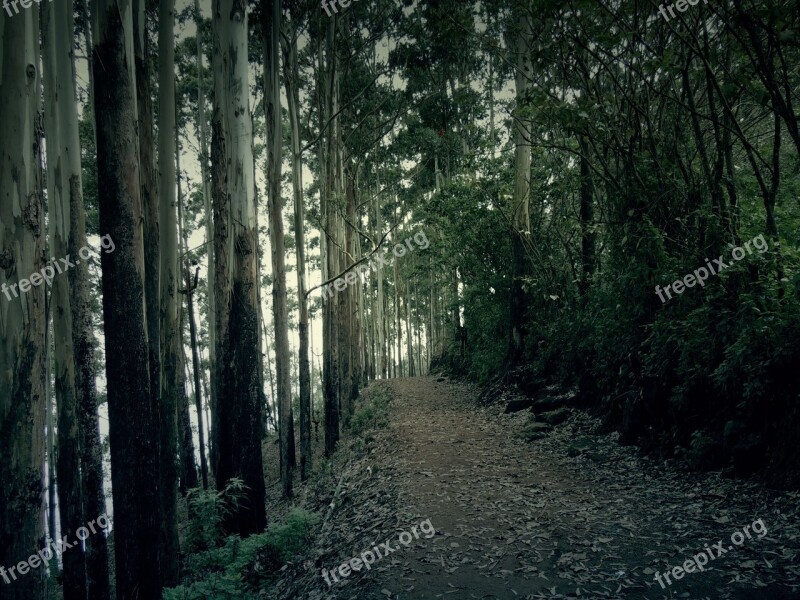 Nature Dark Horror Natural Beauty Mountain Top