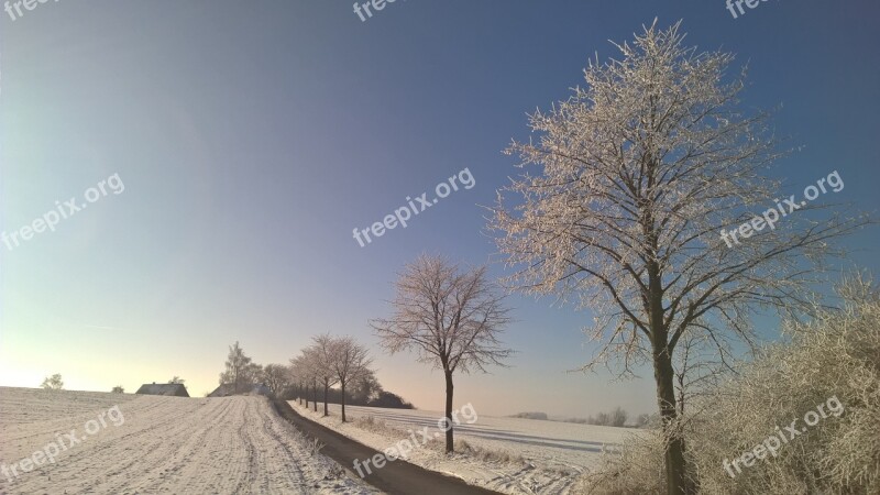 Winter Snow Sun Trees Blue Sky