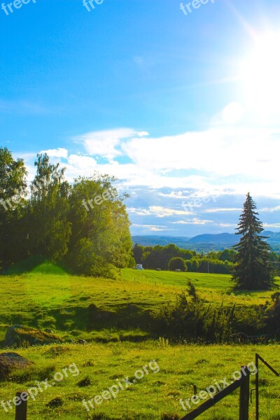 Hage Bed Himmel Tree Sweden