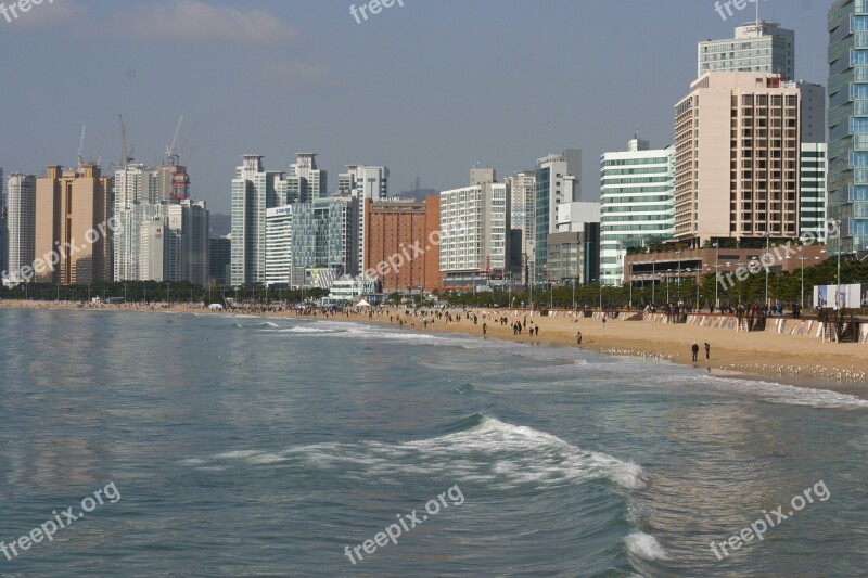 Beach Sea Busan Coastal Cities Asia