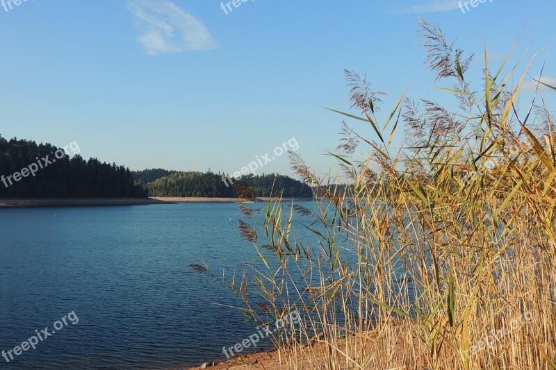 Lake Tall Grass Town Of Celles-sur-plaine France Landscape