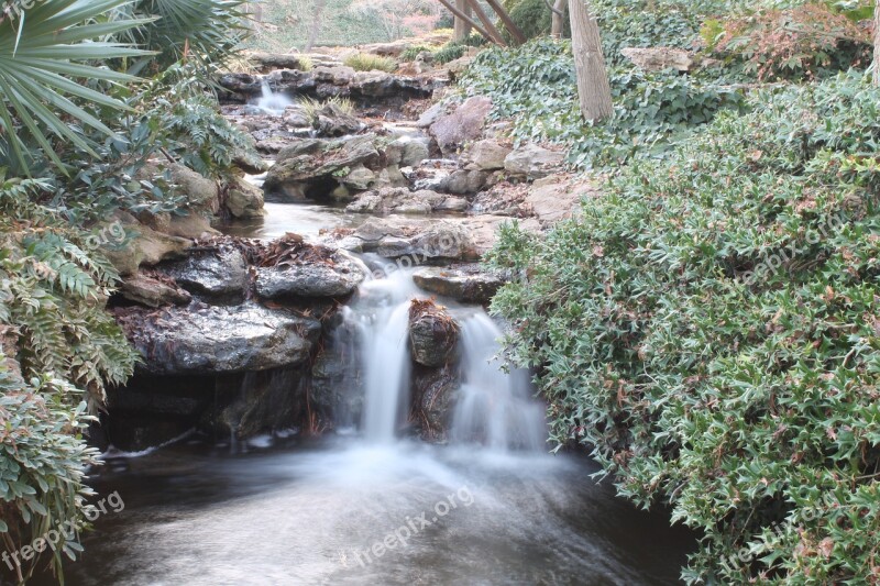 River Natural Garden Botanical Dallas