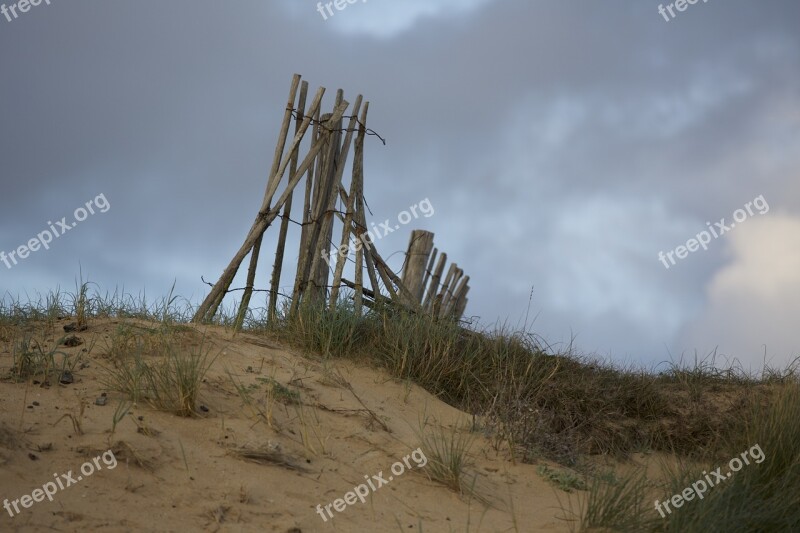 Sand Beach Barrier Dune Sandy Beach