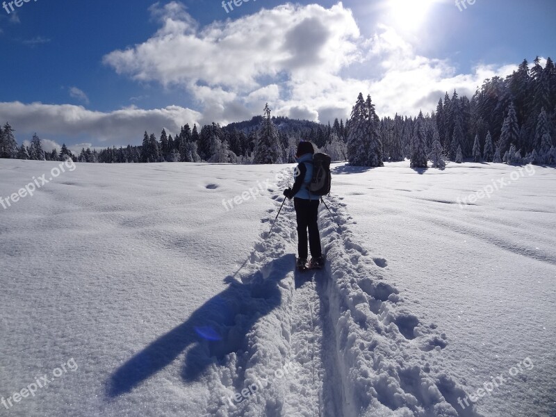 Snow Snow Shoes Trace Sun Winter