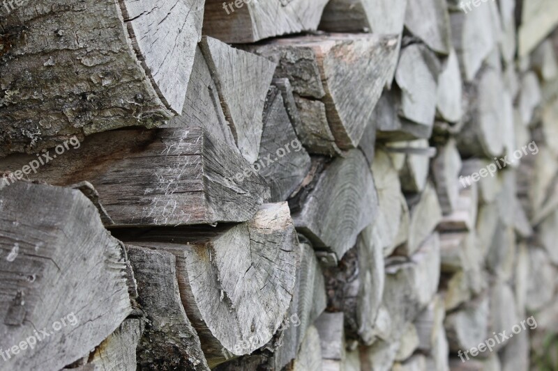 Wood Tribe Stack Tree Firewood