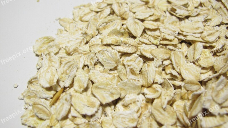 Oat Food Oatmeal Grain Vegetarian