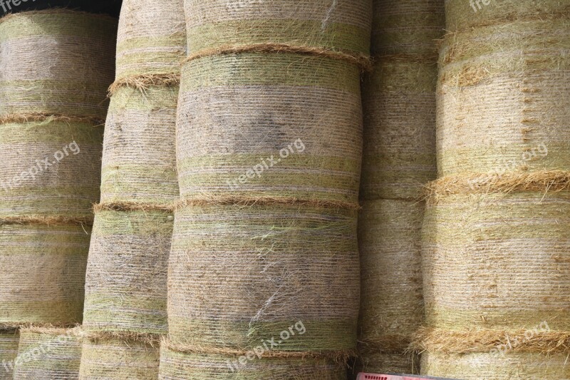 Hay Barn Sheaves Free Photos