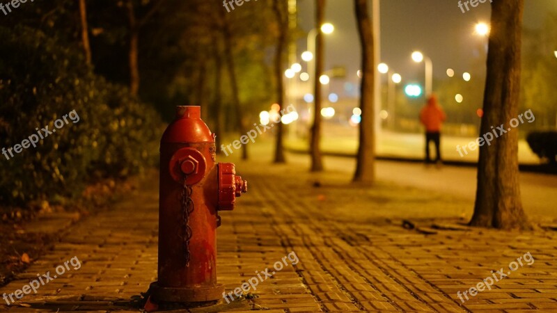 Road Red Night Shanghai China