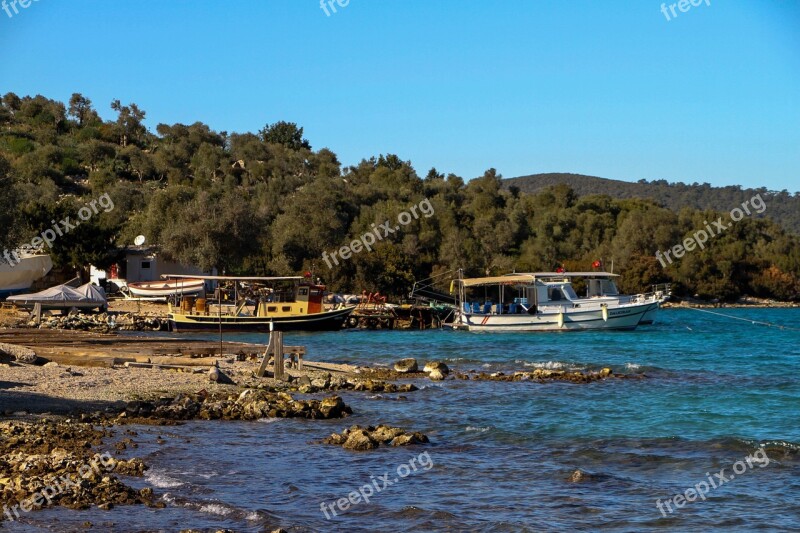 Marine Blue Nature Landscape Green