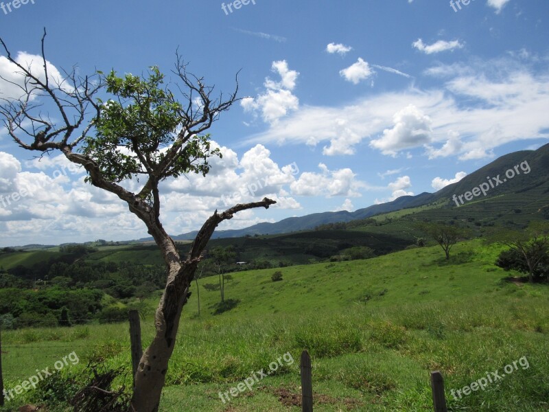 Nature Serra Green Valley Vegetation