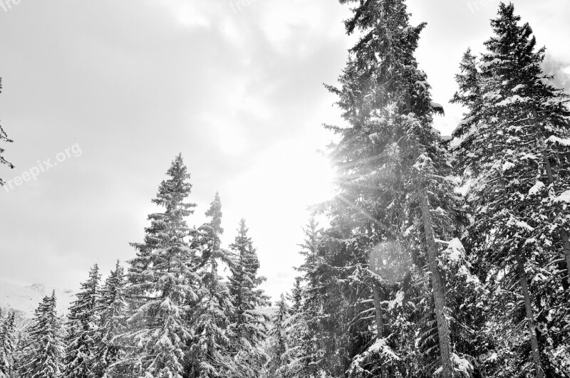 Snow Alps Haute-savoie Winter Landscape Mountain