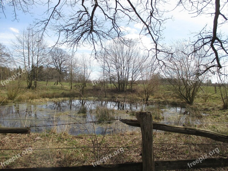 Northern Germany Pond Pools Biotope Landscape