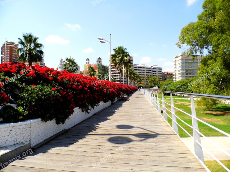 Valencia España Puente De Los Flores Free Photos