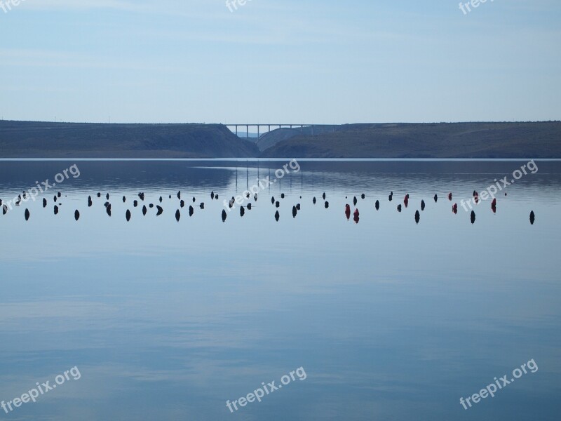 Pager Bridge Croatia Dalmatia Island Of Pag Sea