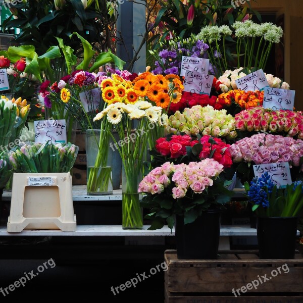 Flowers Was Market Flowers Flower Trade Market Day