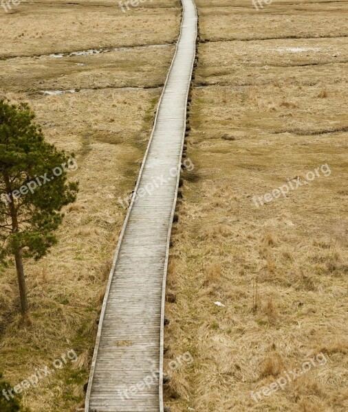 Wooden Footbridge Bog Meadow Road Free Photos